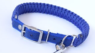 Make an Adjustable Paracord Dog Collar  Webbing BioThane Paracord Adapter  King Cobra Weave Basic [upl. by Nair]