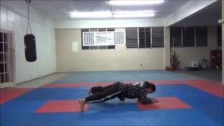 Hapkido Tutorial [upl. by Wolenik435]