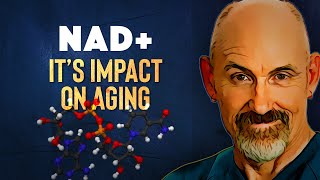 NAD How To Raise NAD Levels 2024 [upl. by Langham701]