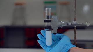 Reaction Rate  Hydrochloric acid  Sodium Thiosulfate Concentration [upl. by Akehs]