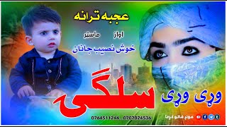 نوی زبردست نظم  وړی وړی سلګۍ new nazam by khoshnaseebtopic  new tapy new naat new 2024 new poshto [upl. by Taryn762]