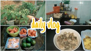 dailyvlog PANEN TERONG DAN CABE  MASAK MENU SEDERHANA  BELANJA BUAH UNTUK CEMILANKE LOUNDRY KOIN [upl. by Krutz]