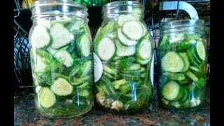 Garlic Dill Refrigerator Pickles Super Simple Recipe [upl. by Sillaw]