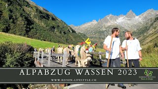 Alpabzug Wassen  reisenlifestylech [upl. by Varini681]