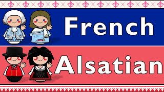 FRANCE FRENCH amp ALSATIAN [upl. by Virgina]