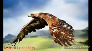 Joister wi mul Ambe  Kumdi Local Hits 2014 PNG Music [upl. by Assanav559]