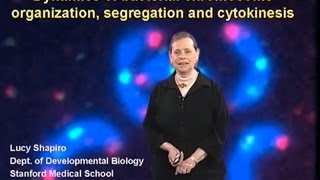 Lucy Shapiro Stanford Univ Part 1 Dynamics of the Bacterial Chromosome [upl. by Acysej]