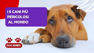 I 5 cani più pericolosi al mondo [upl. by Birchard]