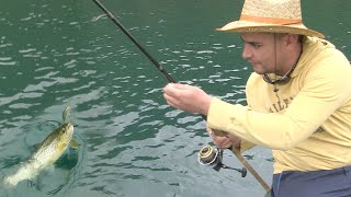 Pecanje pastrmke na varalicu na reci Trebišnjici  Fishing trout FULL VIDEO [upl. by Mackay]