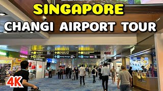 Why Singapore Changi is the World’s Best Airport Full Terminal Tour amp Transit Area Exploration [upl. by Graubert]