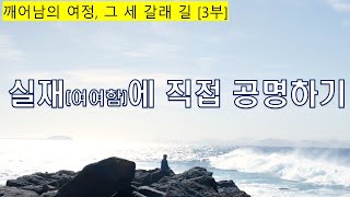 깨어남의 여정 그 세 갈래 길 3부 실재에 직접 공명하기 [upl. by Opiak165]