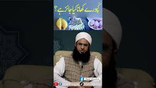 Janwar Ke Kapooray Khanay ka Hukam mufti islamicfigure shortvideo ukum  Mufti Irfanullah [upl. by Horton]