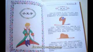 The Little Prince  TRILINGUAL Edition  English  French  Chinese [upl. by Ellinad]