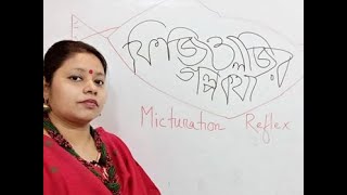 রেনাল সিস্টেমঃ মিকচুরেশন রিফ্লেক্স Renal system Micturition Reflex [upl. by Alim]