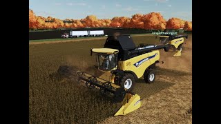 FS22 sorghum millet harvest [upl. by Cohbert]