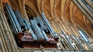 Organ Recital Richard McVeigh [upl. by Ecnarwal]