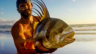 Popper Fishing Roosterfish IN THE SURF [upl. by Nancie941]