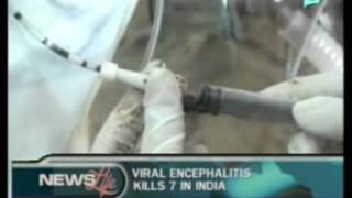 Viral Encephalitis kills 7 in India [upl. by Yrtnej419]