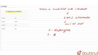 A cladode is modified  12  STEM  BIOLOGY  DINESH PUBLICATION  Doubtnut [upl. by Orwin]