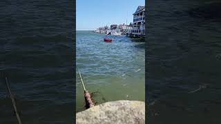 Nantucket Harbor [upl. by Yesrej182]