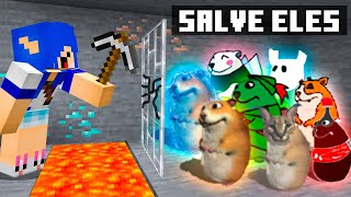 Se você achar o HAMSTER você GANHA 1000 REAIS FIND CHOMIKS MINECRAFT [upl. by Ylus]