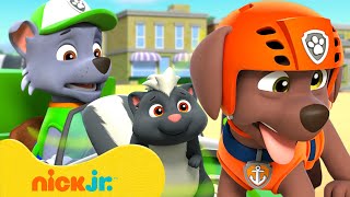 PAW Patrol STINKY Rescues amp Adventures 2 🤢 10 Minutes  Nick Jr [upl. by Tevis875]