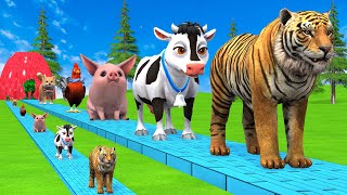 Paint amp Animals CowGorillaElephantGiraffeTigerPig Fountain Crossing Transformation Cartoon [upl. by Hild748]