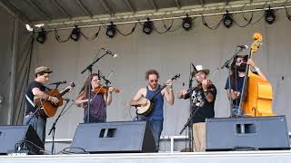 Clifftop 2018  Mule Team  Big Possum String Band [upl. by Jerman705]