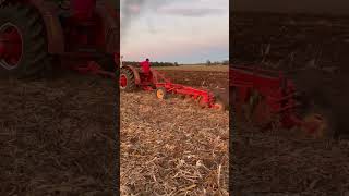 Hang on Samson is bucking and mean casetractor farming 500 trump2024 [upl. by Ralaigh522]