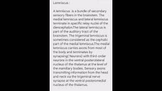 Lemniscus  Brain Stem  HypoThalamus [upl. by Amund111]