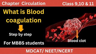 What is Blood clotting A to Z details  Blood coagulation cascade [upl. by Wiese]