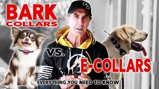 What’s the Difference between Bark Collars and ECollars How to use an Anti Bark Collar [upl. by Aiciruam]