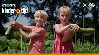 Lekker courgette soep maken  Moestuinen  Kindertijd KRONCRV [upl. by Ytrebil]