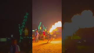 Goa party Beach party November new year goa trending travel [upl. by Crandale261]