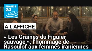 quotLes Graines du Figuier sauvagequot lhommage de Mohammad Rasoulof aux femmes iraniennes • FRANCE 24 [upl. by Nagirrek]