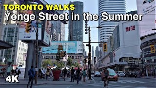 Yonge Street in the Summer  Downtown Toronto Walk 4K [upl. by Nuriel398]