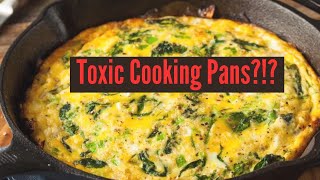 Are Non Stick Pans Like Teflon Toxic [upl. by Kyre]