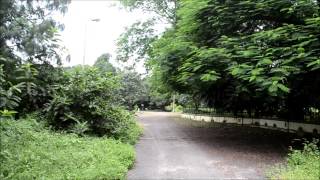 Inside Acharya Jagadish Chandra Bose Indian Botanic Garden  Kolkata  Paradise for flora lovers [upl. by Olvan857]