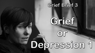 GB3 Grief or Depression 1 [upl. by Nichani953]