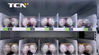 TCN egg vending machineprofessional vending machine leading brand [upl. by Roselle878]