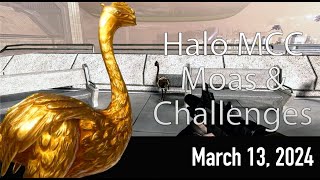 Halo MCC Moas and Weekly Challenges March 13 2024  Eye Spy [upl. by Wooldridge]