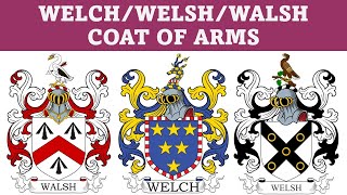 Walsh Welch Coat of Arms amp Family Crest  Symbols Bearers History [upl. by Brandon]