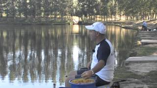 Italian Fishing TV  Colmic  Pesca allinglese con Jacopo Falsini [upl. by Emlin]