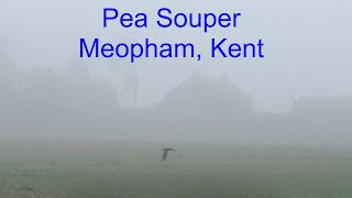 Pea Souper in Meopham Kent  Tue 15Oct24 [upl. by Tranquada225]