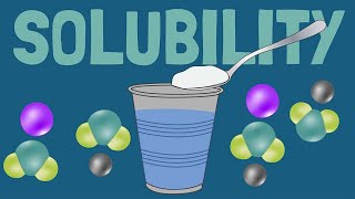 How Solubility and Dissolving Work [upl. by Jakob709]