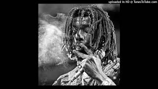 Peter Tosh  Apartheid [upl. by Petua768]