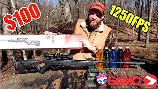 THE CHEAPEST GAMO RIFLE GAMO SHADOW WHISPER 177 [upl. by Sapienza480]