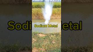 Sodium Metal With Water Reaction Video  सोडियम मेटल धमाका वीडियो shorts [upl. by Sidhu]