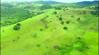 Vendo excelente fazenda em Castro AlvesBahia 71 9 99834098 zap [upl. by Ynahteb]