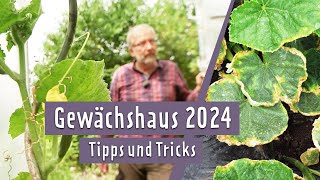 Gewächshaus 2024 Falschen Mehltau an Gurken behandeln  MDR Garten [upl. by Storer]